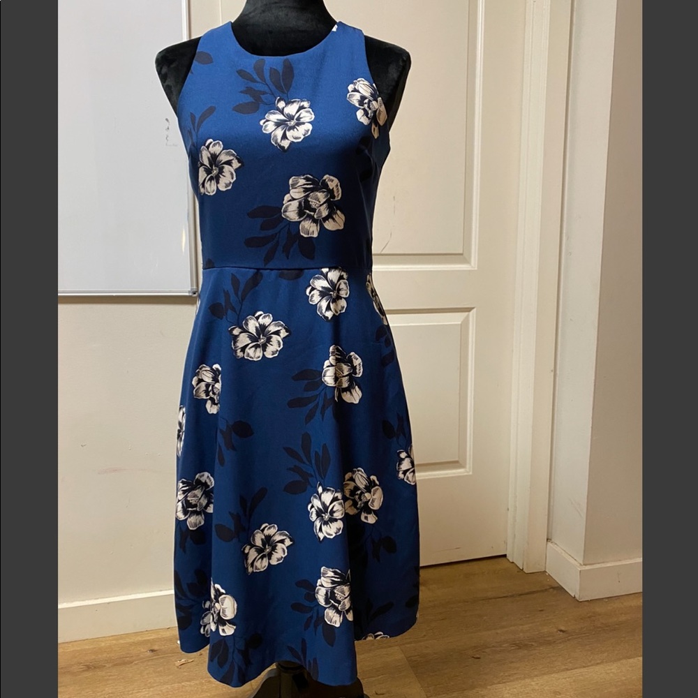 Banana Republic Dress